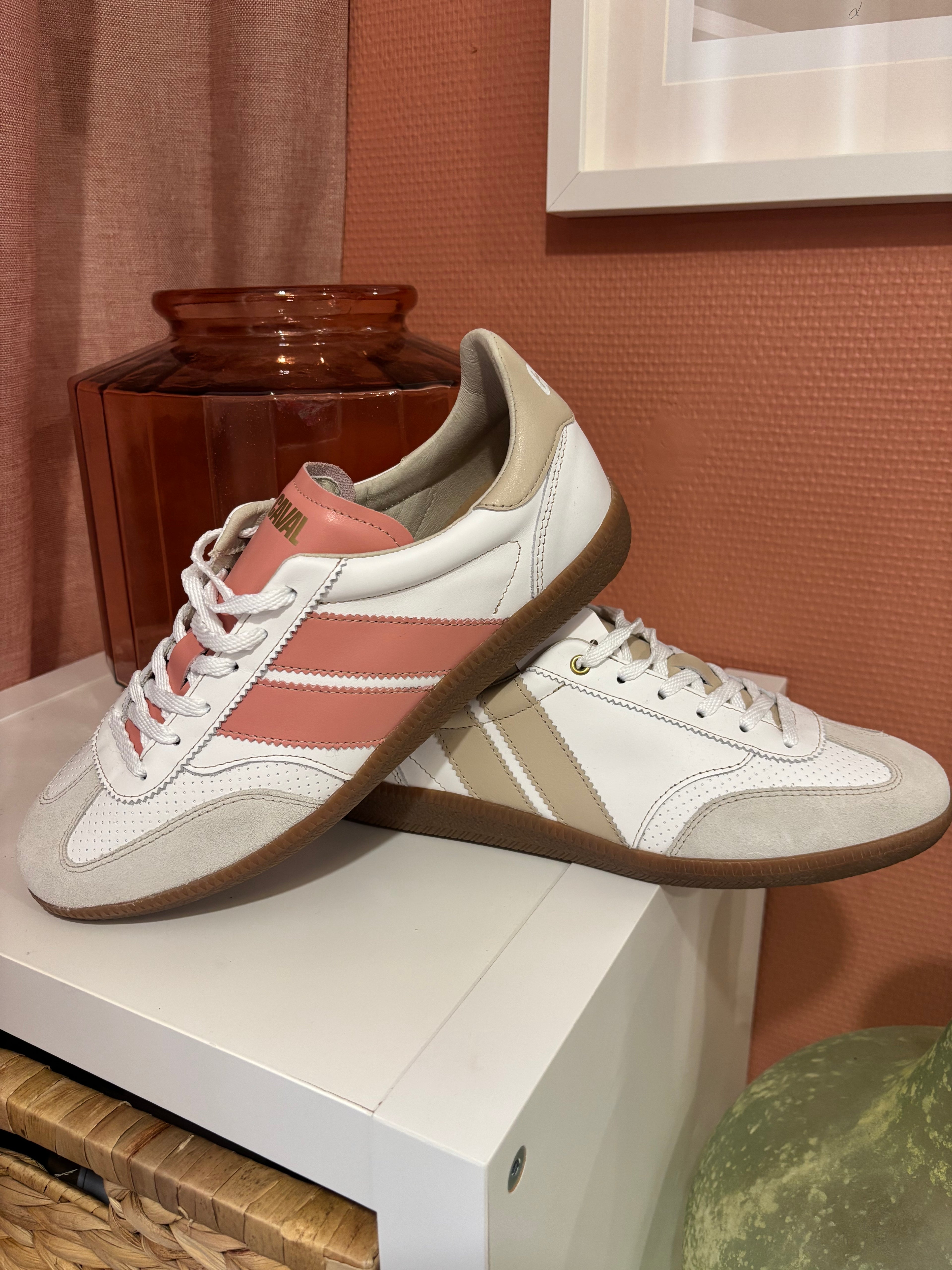Coral Dream - Caval